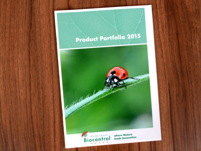 Produktportfolio, Andermatt Gruppe, die Fachmänner der Wallimann Druck und Verlag AG beraten Sie gerne