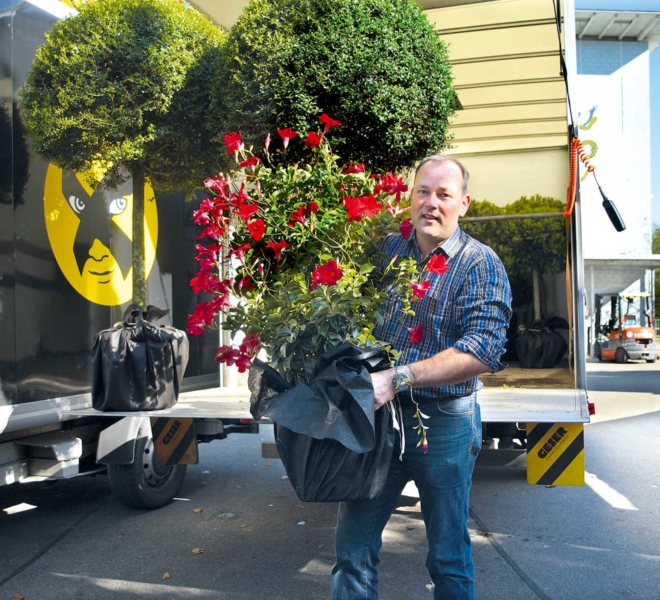 Gewerbeausstellung Beromünster, Gärtnerei Steiger, Lukas Steiger dekoriert