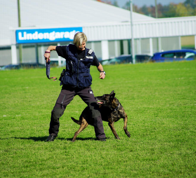 Vorführung eines Polizeieinsatzes an der Gewerbeausstellung Stärne füfi in Beromünster