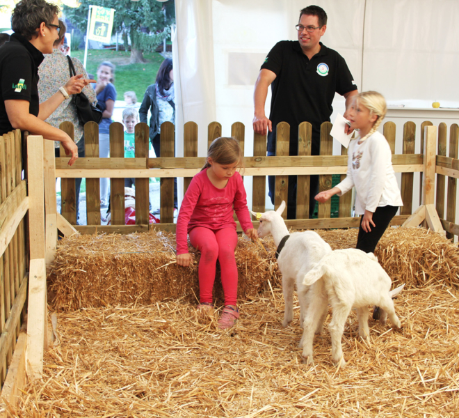 Die Landi an der Gewerbeausstellung Stärne füfi in Beromünster