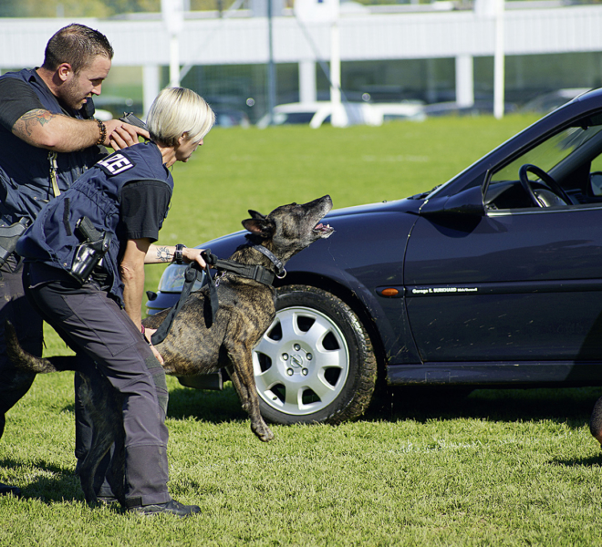 Simulierter Polizeieinsatz an der Gewerbeausstellung Stärne füfi in Beromünster
