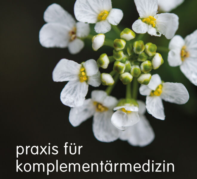 Praxis für Komplementärmedizin in Rain.