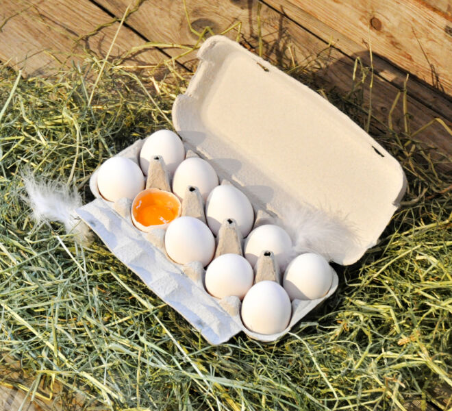 Frische Eier vom Hof Herzige in Rain.