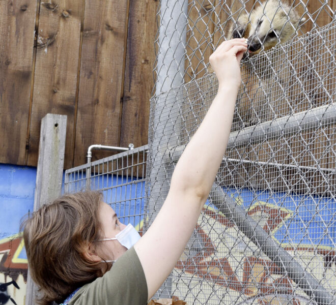 Making of «Di Lernende öbernänd» Wallimann im «swiss print+communication» ein Projekt der Lernenden Wallifrauen