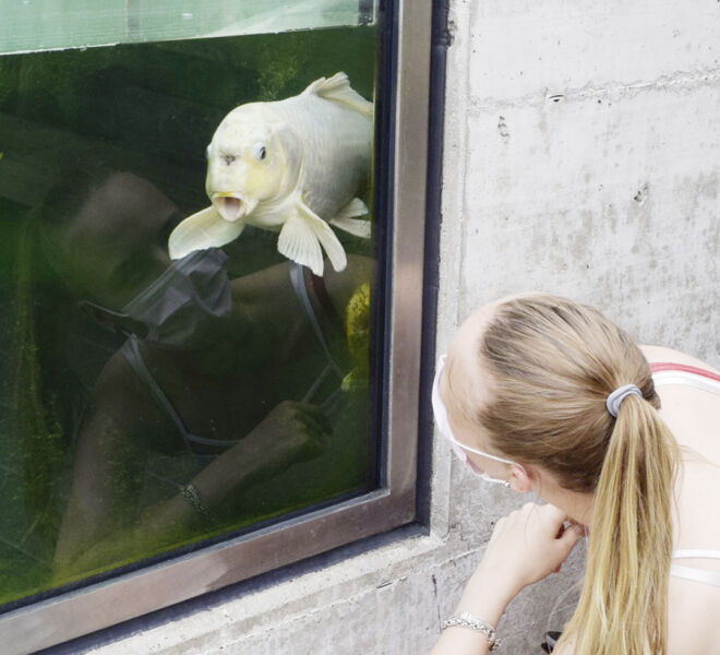 Making of «Di Lernende öbernänd» Wallimann im «swiss print+communication» ein Projekt der Lernenden Wallifrauen